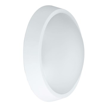 LED Väli seinavalgusti BULKHEAD LED/30W/230V 4000K IP54 valge