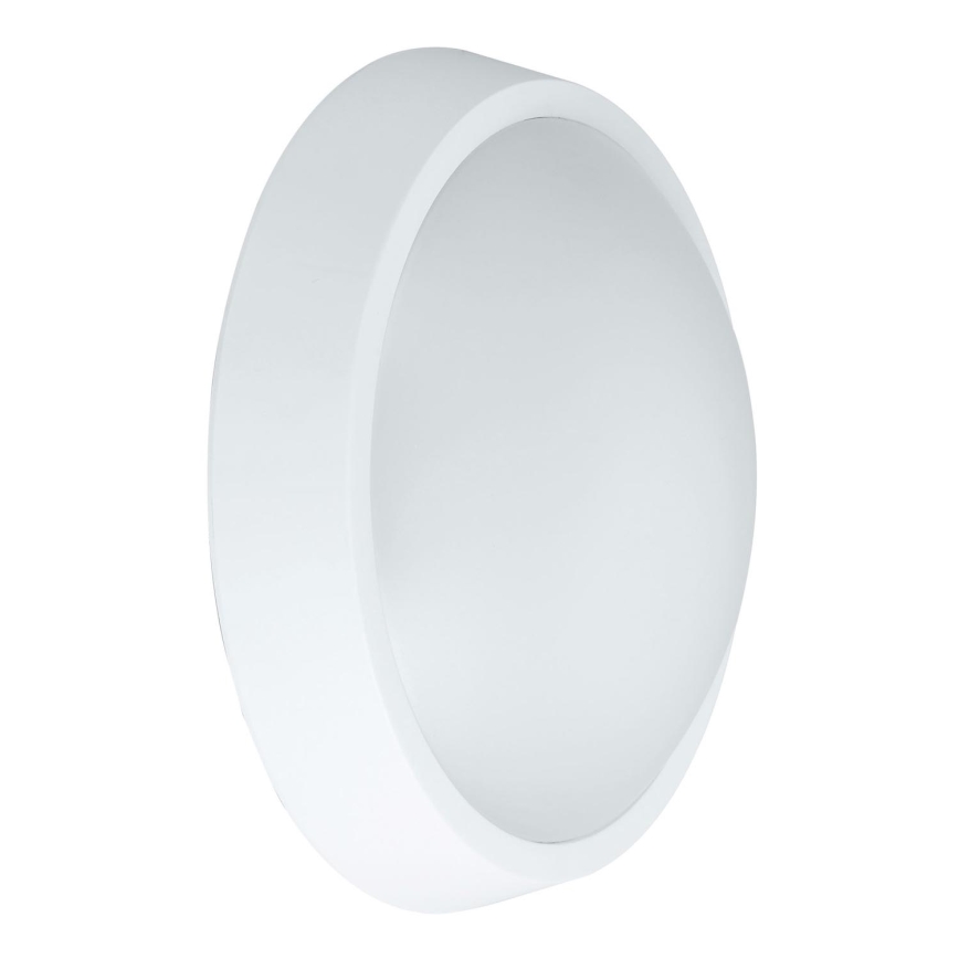 LED Väli seinavalgusti BULKHEAD LED/30W/230V 4000K IP54 valge