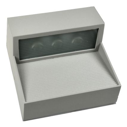 LED Väli seinavalgusti CARRI LED/3W/230V IP54