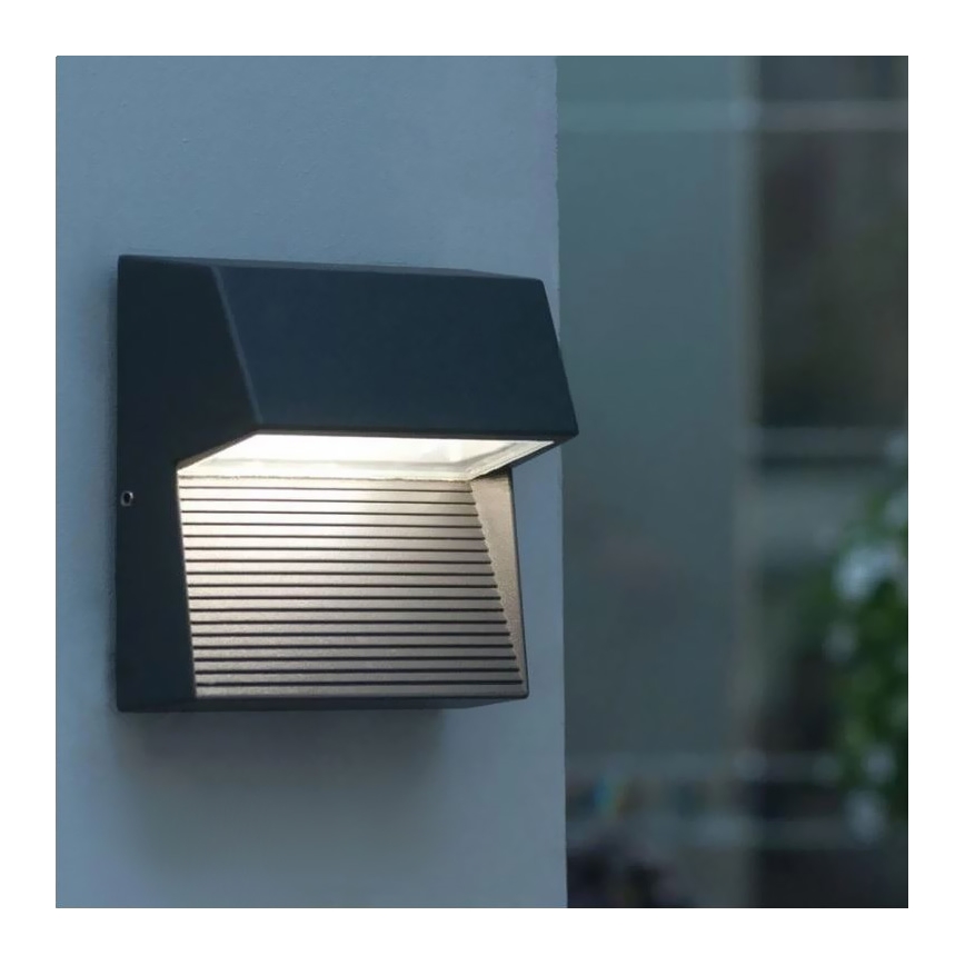 LED Väli seinavalgusti CARRI LED/3W/230V IP54