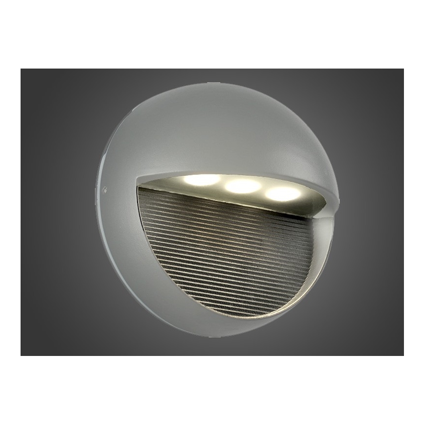 LED Väli seinavalgusti CIOLLA LED/3W/230V IP54