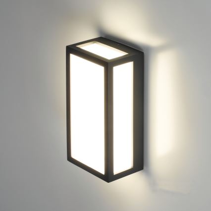 LED Väli seinavalgusti ENTERA LED/10W/230V 4000K IP54