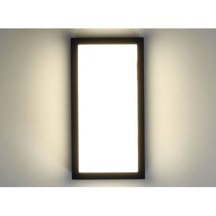 LED Väli seinavalgusti ENTERA LED/10W/230V 4000K IP54