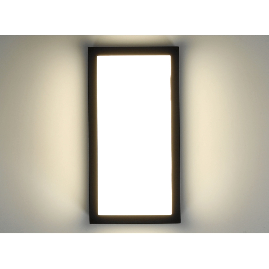 LED Väli seinavalgusti ENTERA LED/10W/230V 4000K IP54