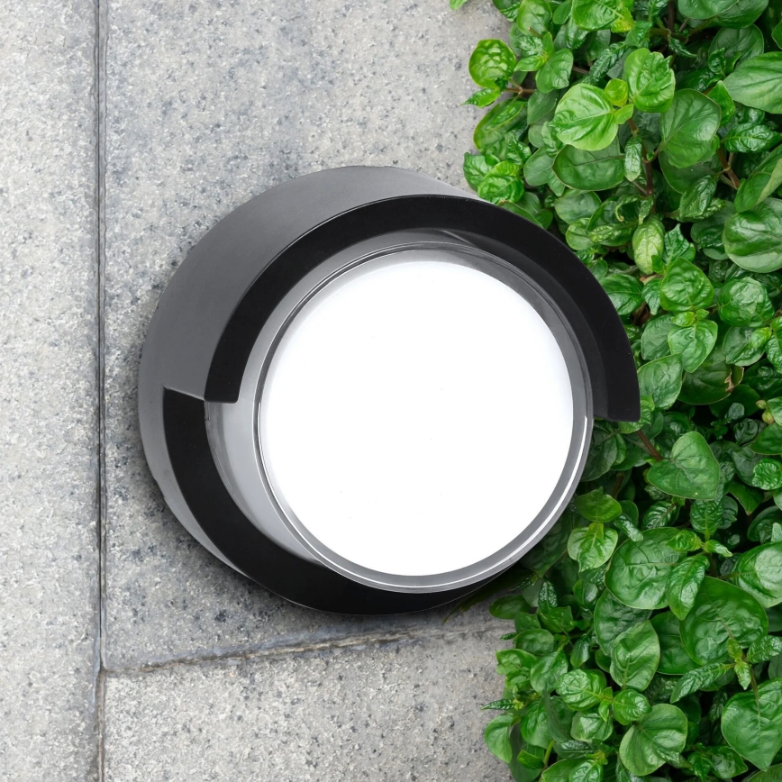 LED Väli seinavalgusti ESSEN LED/10W/230V IP44 must