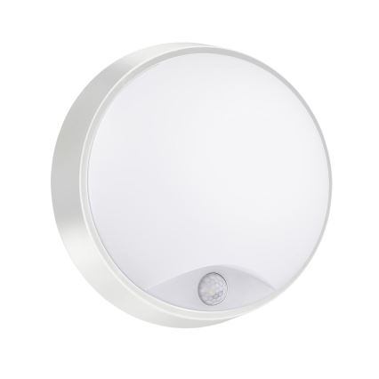 LED Väli seinavalgusti koos anduriga LED/15W/230V 4000K IP65