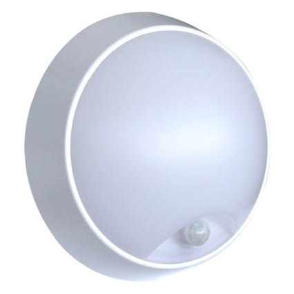 LED Väli seinavalgusti koos anduriga LED/15W/230V 4000K IP65