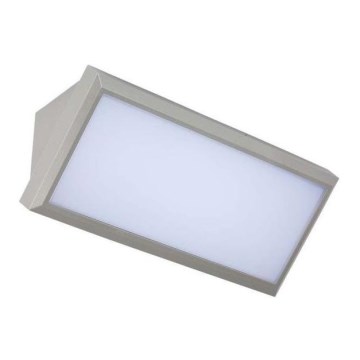 LED Väli seinavalgusti LED/12W/230V 3000K IP65 hall