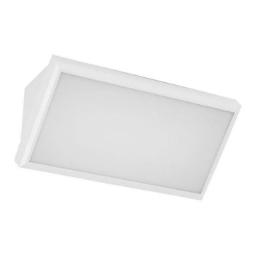 LED Väli seinavalgusti LED/12W/230V 3000K IP65 valge