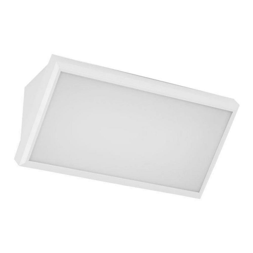 LED Väli seinavalgusti LED/12W/230V 3000K IP65 valge