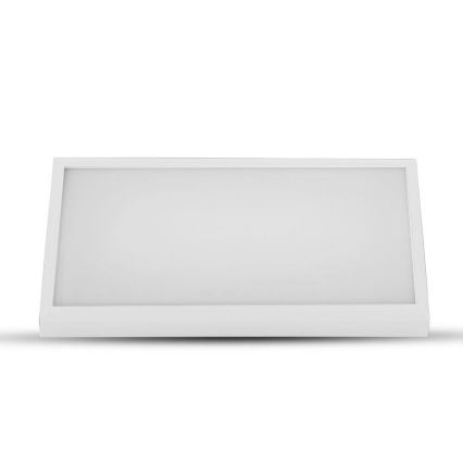 LED Väli seinavalgusti LED/12W/230V 3000K IP65 valge