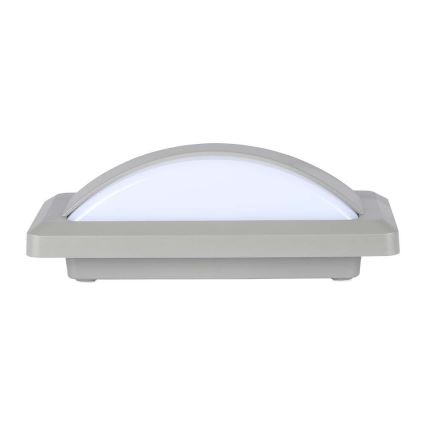 LED Väli seinavalgusti LED/12W/230V 6400K IP65