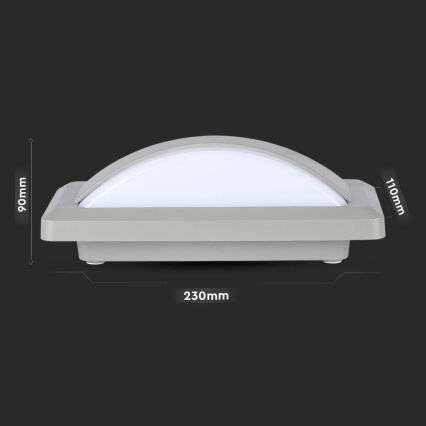 LED Väli seinavalgusti LED/12W/230V 6400K IP65