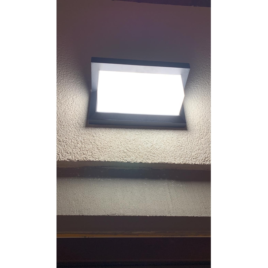 LED Väli seinavalgusti LED/12W/230V IP54 must