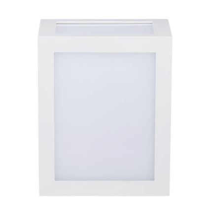 LED Väli seinavalgusti LED/12W/230V IP65 4000K valge
