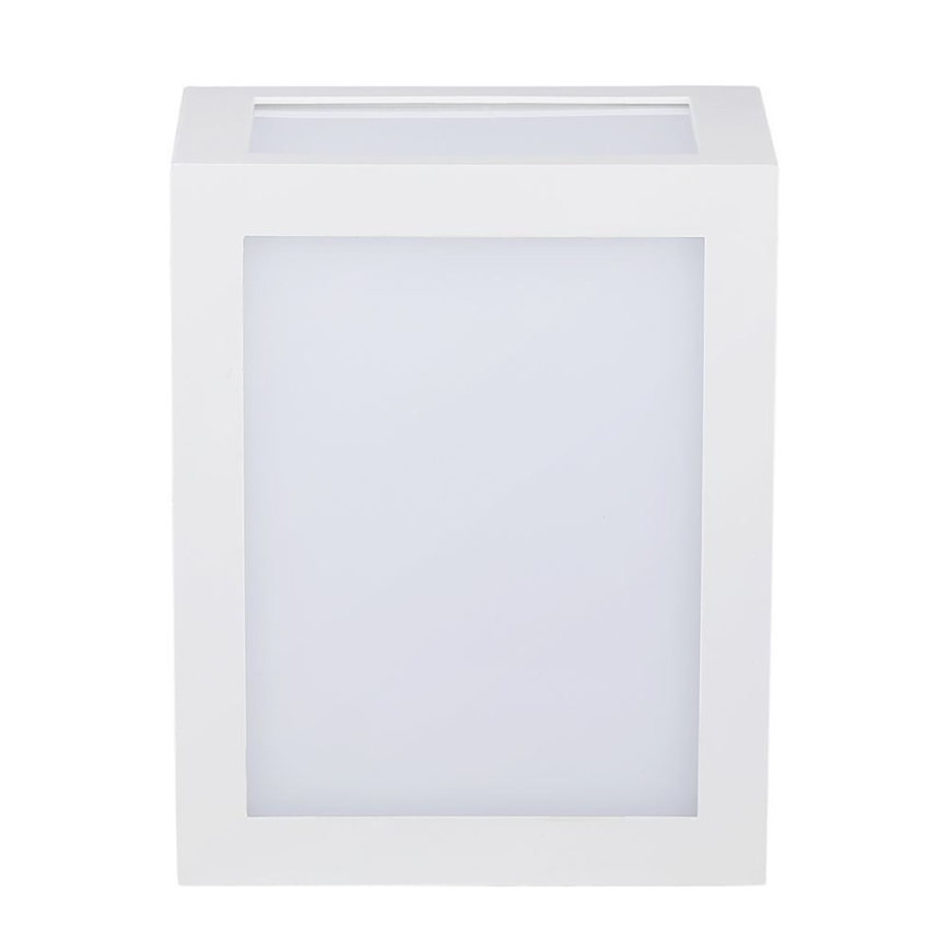 LED Väli seinavalgusti LED/12W/230V IP65 4000K valge