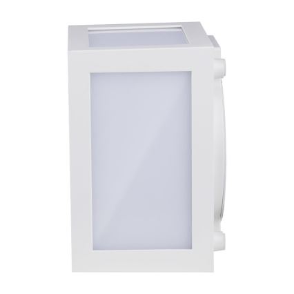 LED Väli seinavalgusti LED/12W/230V IP65 4000K valge