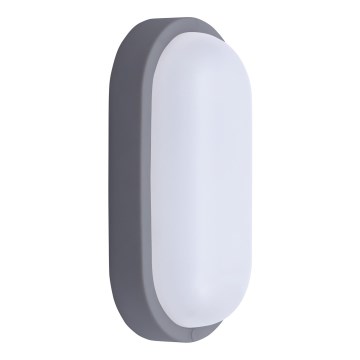 LED Väli seinavalgusti LED/13W/230V 4000K IP54 hall ovaalne