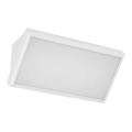 LED Väli seinavalgusti LED/20W/230V 3000K IP65 valge