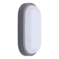 LED Väli seinavalgusti LED/20W/230V 4000K IP54 hall ovaalne
