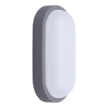LED Väli seinavalgusti LED/20W/230V 4000K IP54 hall ovaalne