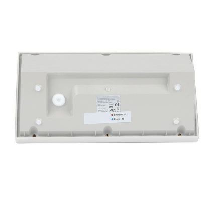 LED Väli seinavalgusti LED/20W/230V 4000K IP65 valge