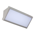 LED Väli seinavalgusti LED/20W/230V 6400K IP65 hall