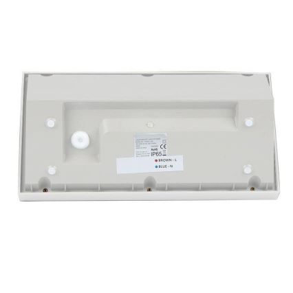 LED Väli seinavalgusti LED/20W/230V 6400K IP65 valge