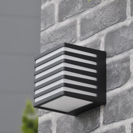 LED Väli seinavalgusti MAXWELL LED/10W/230V IP54 antratsiit