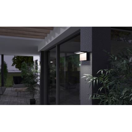 LED Väli seinavalgusti NATURA LED/12W/230V 4000K IP65 pruun/antratsiit