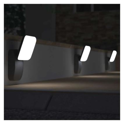 LED Väli seinavalgusti NIKA LED/12,5W/230V IP44