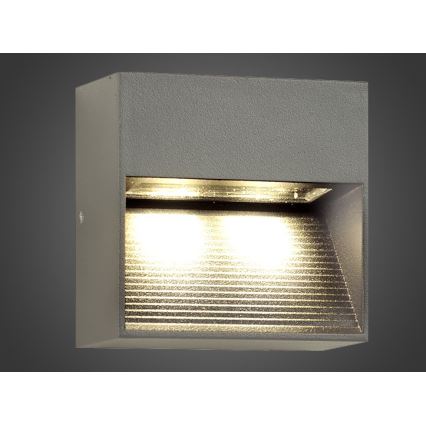 LED Väli seinavalgusti NINION LED/2W/230V IP54