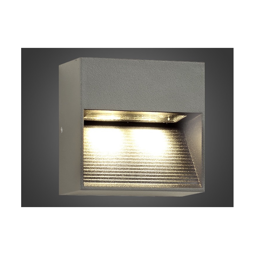 LED Väli seinavalgusti NINION LED/2W/230V IP54