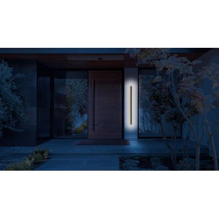 LED Väli seinavalgusti STICK LED/12W/230V IP65 3000K 30 cm