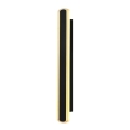 LED Väli seinavalgusti STICK LED/12W/230V IP65 3000K 60 cm