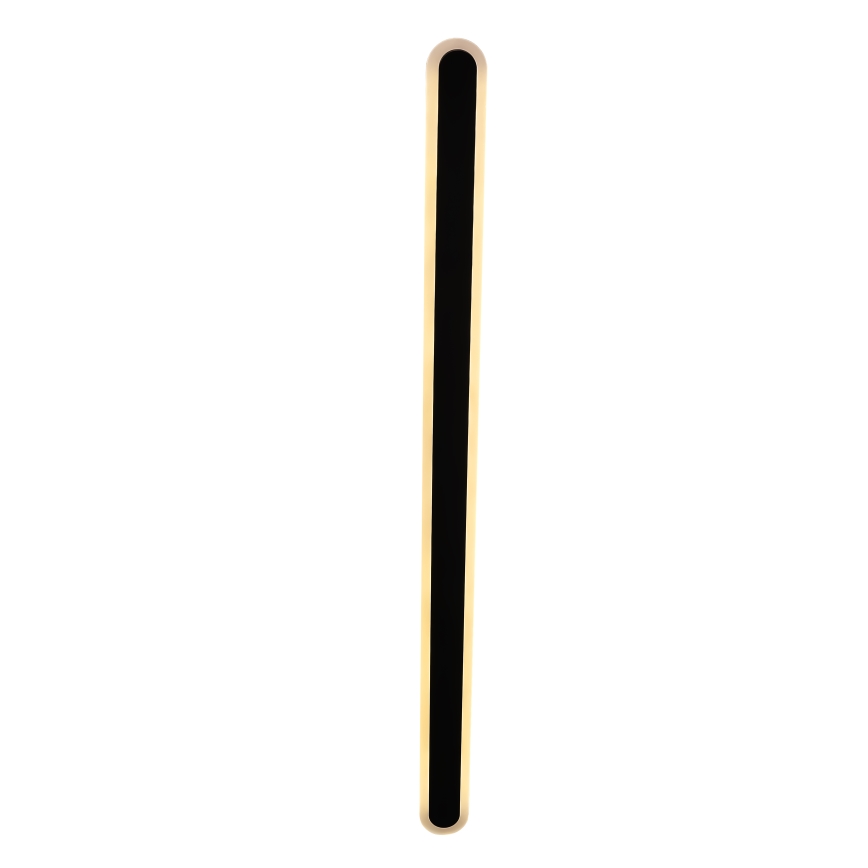 LED Väli seinavalgusti STICK LED/36W/230V IP65 3000K 120 cm