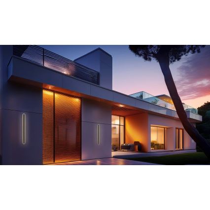 LED Väli seinavalgusti STICK LED/45W/230V IP65 3000K 150 cm