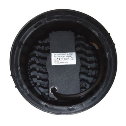 LED Väli sissesõidutee valgusti PELIA LED/20W/230V IP67 4000K