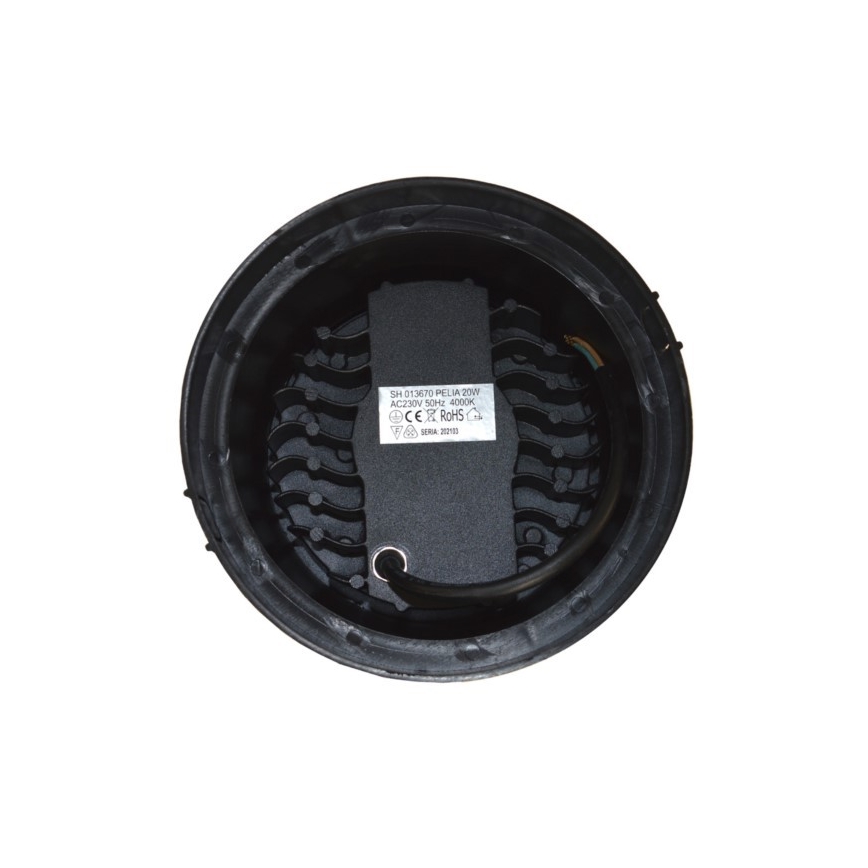 LED Väli sissesõidutee valgusti PELIA LED/20W/230V IP67 4000K