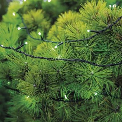 LED Väli valguskett 100xLED/10m IP44 roheline