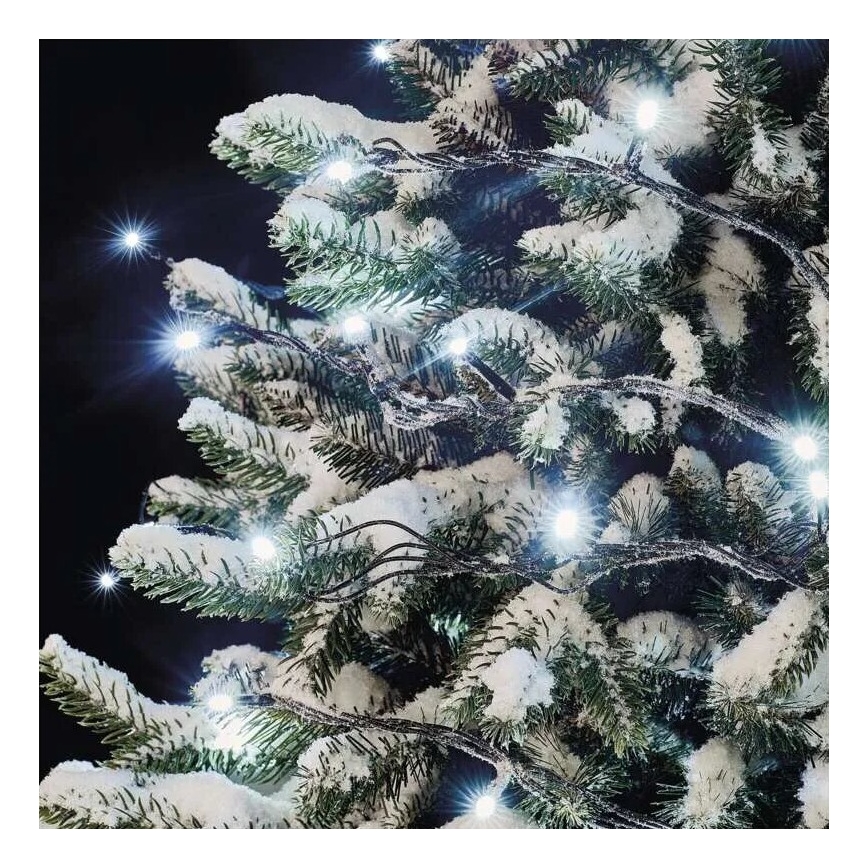 LED Väli valguskett 50xLED/5m IP44 külm valge