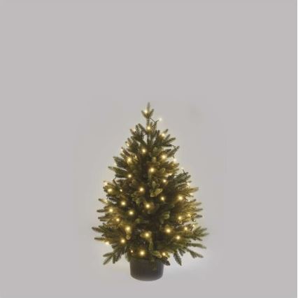 LED Väli valguskett 80xLED/3xAA 6,1m IP44 soe valge