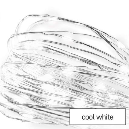 LED väline valguskett 100xLED/15m IP44 külmvalge