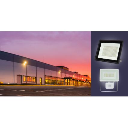 LED Väliprožektor NOCTIS LUX 3 LED/100W/230V 4000K IP65 valge