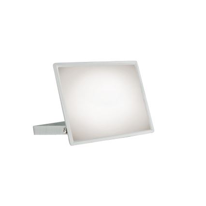 LED Väliprožektor NOCTIS LUX 3 LED/50W/230V IP65 valge