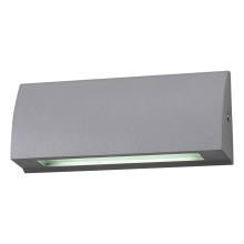 LED välis-Seinavalgusti LED/10W/230V IP54