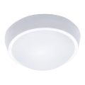 LED välislaelamp LED/18W/230V IP65