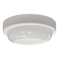 LED välislaevalgusti LED/8W/230V 4200K läbimõõt 14 cm IP64 valge