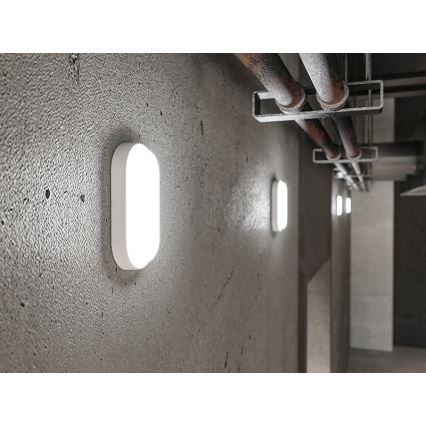 LED välisseinale kinnitatav seinavalgusti LED/12W/230V IP54 valge