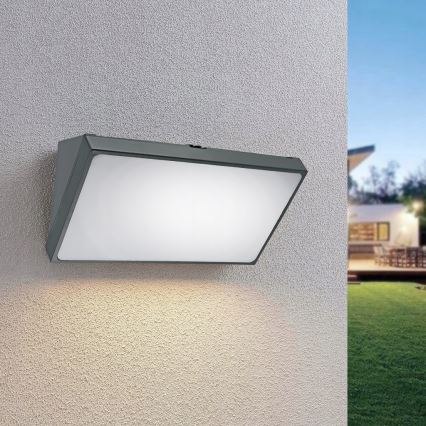 LED seinale paigaldatav välisvalgusti liikumisanduriga LED/20W/230V IP65 hall